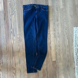 Banana Republic Blue Skinny Jeans (J1)